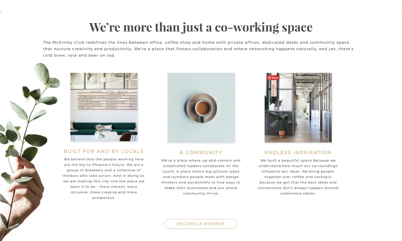 Ivio Agency - The McKinley Club