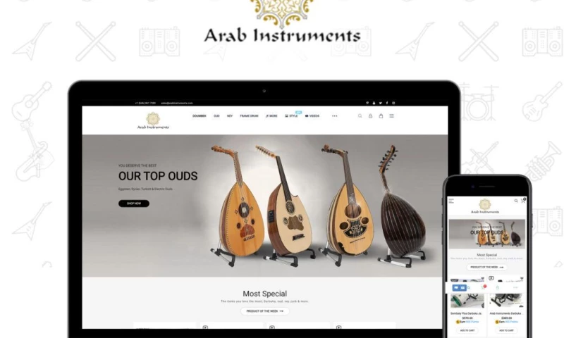 Dolphin Web Solution Pvt. Ltd. - Arab Instruments