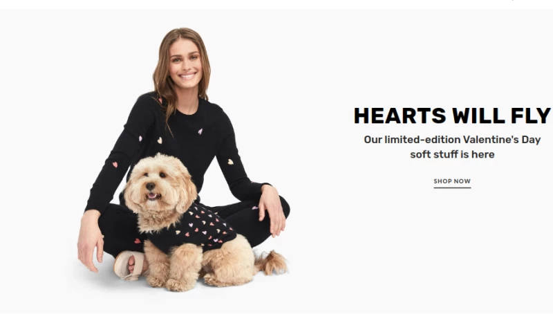 Dolphin Web Solution Pvt. Ltd. - Naadam