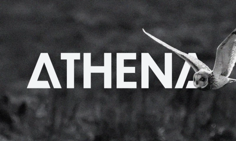 Alchemy Branding Studio - Athena Security Solutions: rebrand, animated logo and website