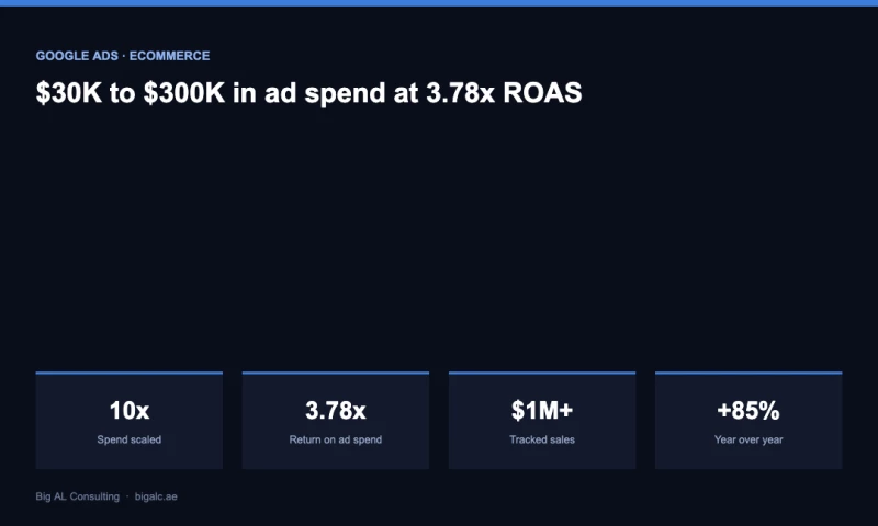 Big AL Consulting - Scaling a Women's Apparel eCommerce Brand From $30K to $300K in Google Ads at 3.78x ROAS