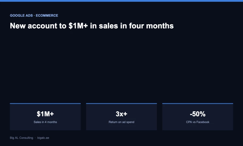 Big AL Consulting - Launching a New Google Ads Account to $1M+ in Sales in Four Months at 3x ROAS