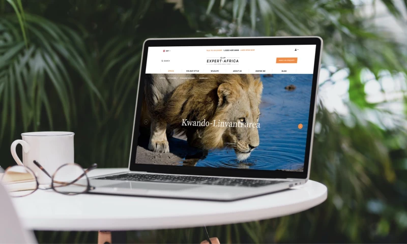 Lightflows - Building the travel industry’s most informative website