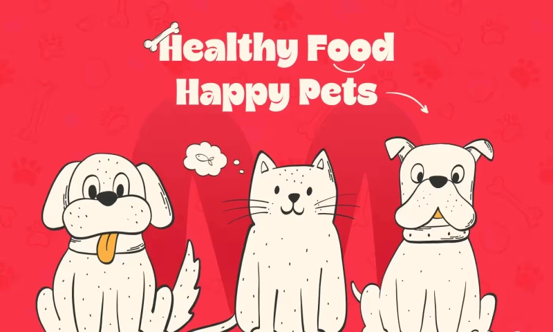 Orbix Studio - Furmate Pet Food Brand Identity