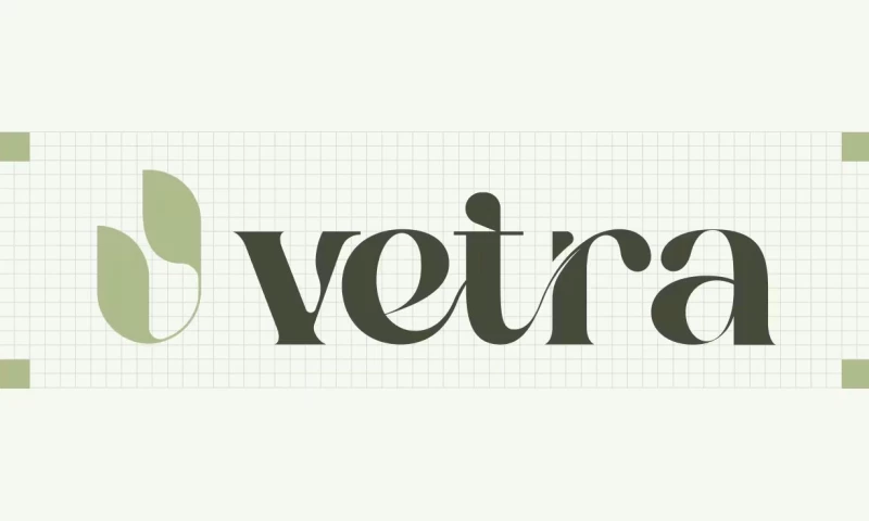 Orbix Studio - Vetra Skincare Brand Identity