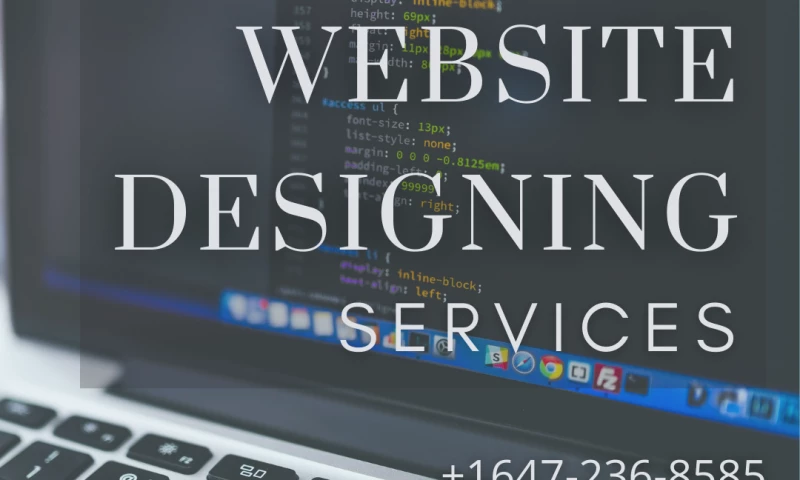 WebSwiggy - Website Development Services