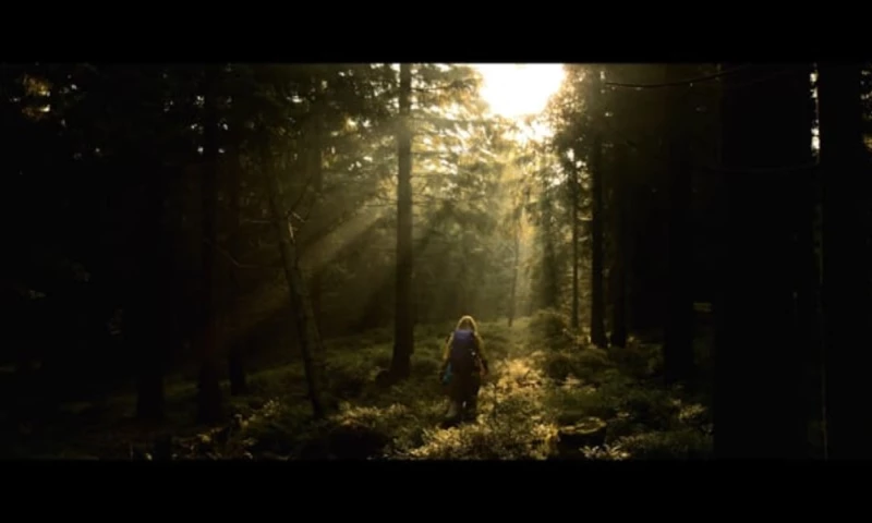 Spreadfilms GmbH - Top Trails of Germany Harzer-Hexen-Stieg