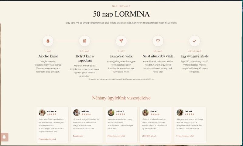 Intec Online - Lormina.hu Brand Visibility & Digital Presence Project