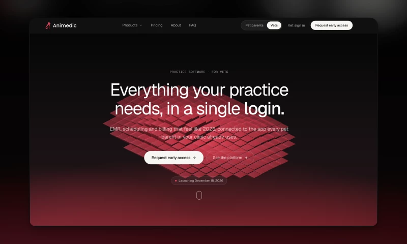 Clicks & Clients - Animedic Branding & Web-Design