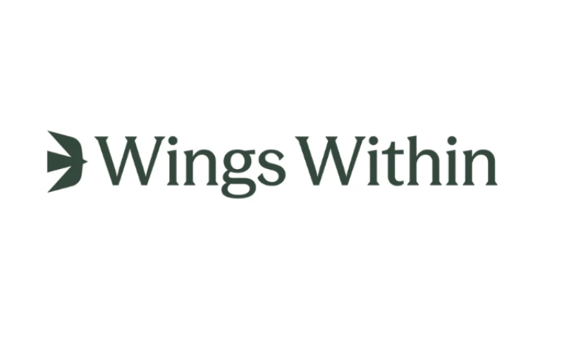 Thinkhaus Idea Factory - Wings Within Naming and Logo