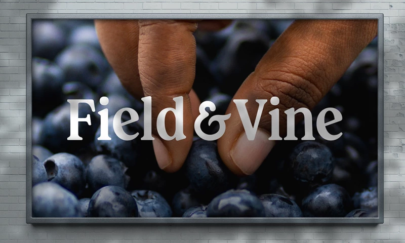 Thinkhaus Idea Factory - Field & Vine Naming