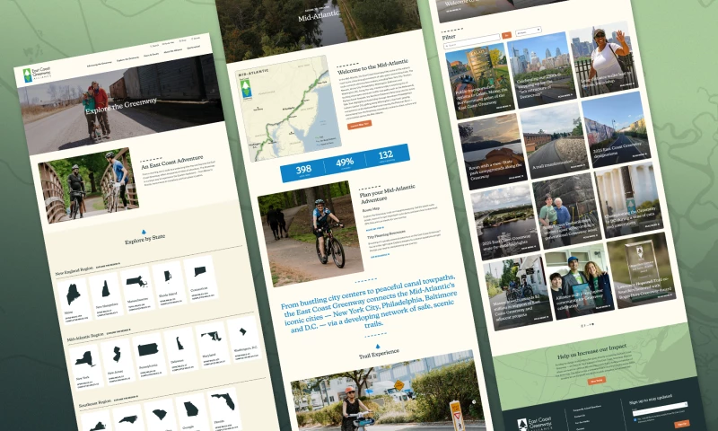 Vermilion - Website Design & Development