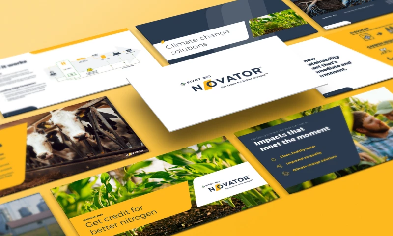 Vermilion - Branding, Graphic Design, & Campaign