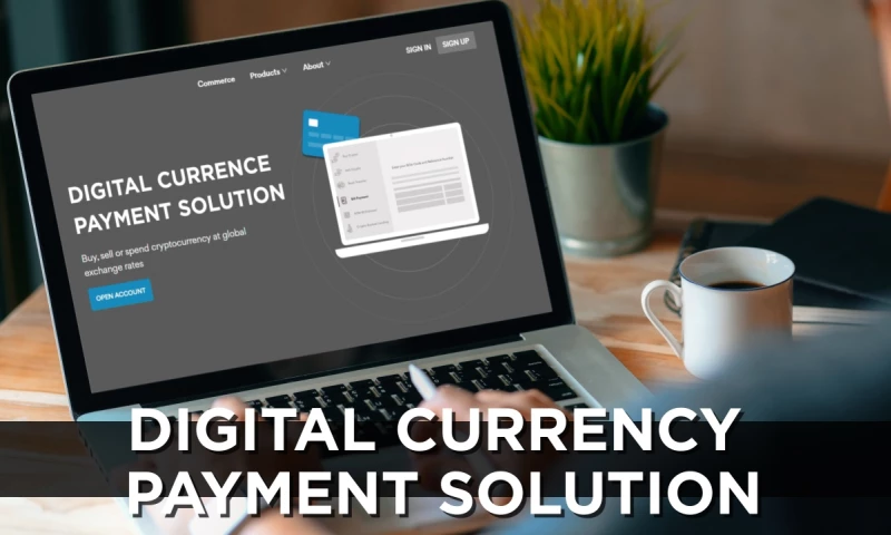 VironIT - Digital currency payments solution