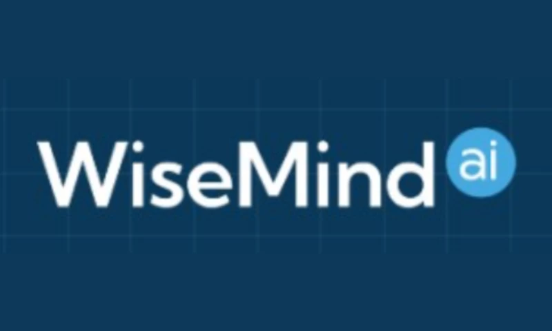 Burniston Media - Wisemind Growth Plan