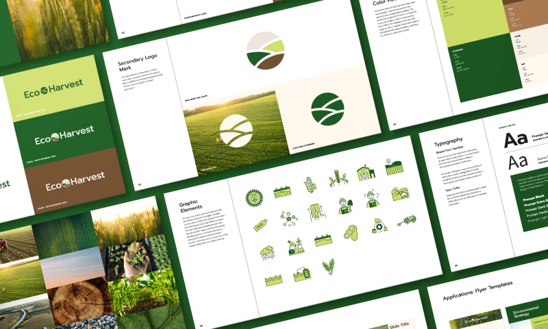 Vermilion - Branding & Website