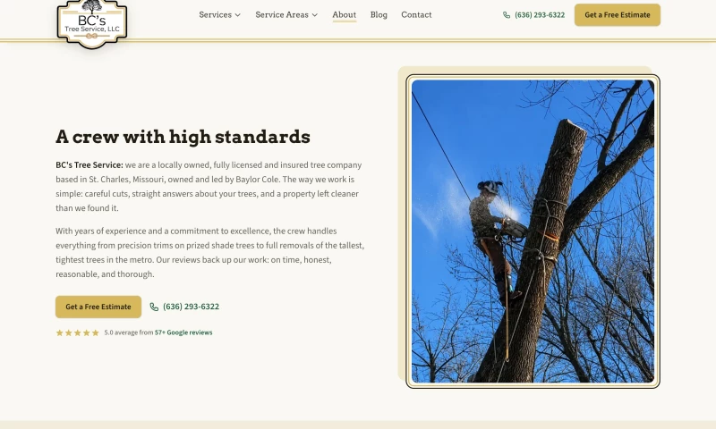Stack Digital LLC - BC's Tree Service