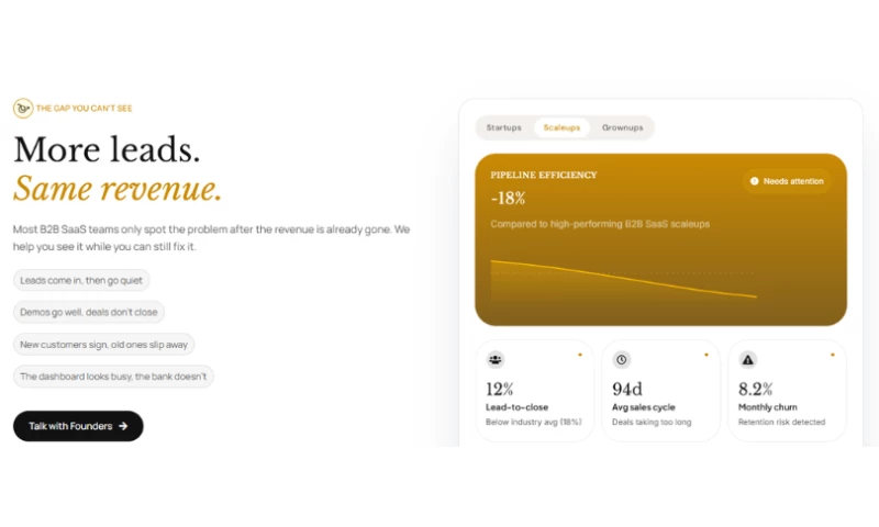 theCSS Flow Agency - Logo and Website for The Clueless Company