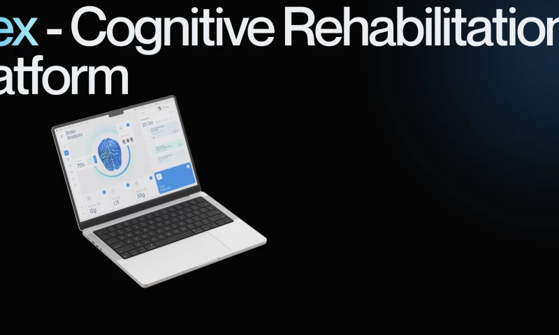 Fulcrum Rocks - Flex - Cognitive Rehabilitation Platform