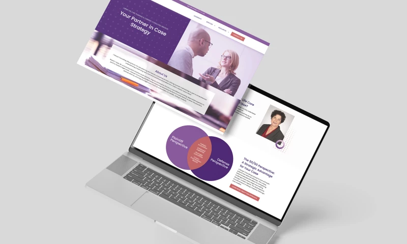 Hummingbird - J Sawyer Consulting Website