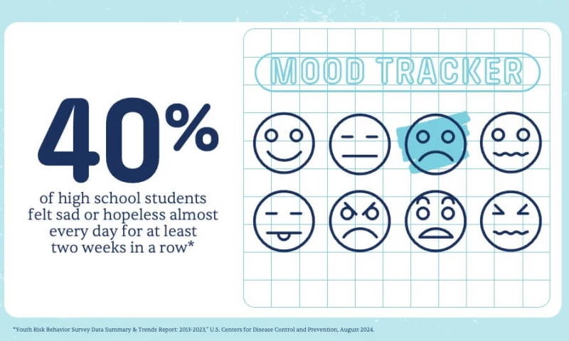 VerdanaBold - Mental Health Awareness Resource Presentation