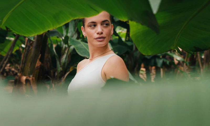 Noise Media - Paradisus - Social-First Brand Transformation