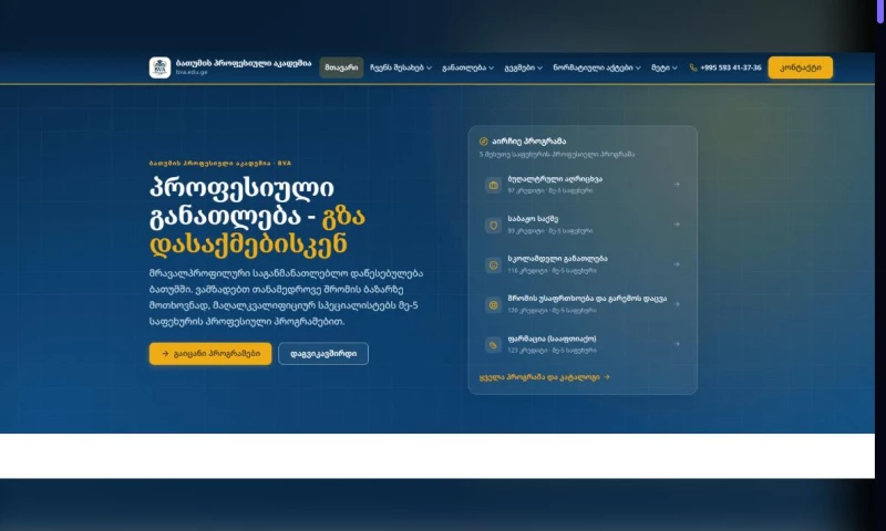 404 Friends - Batumi Vocational Academy Website