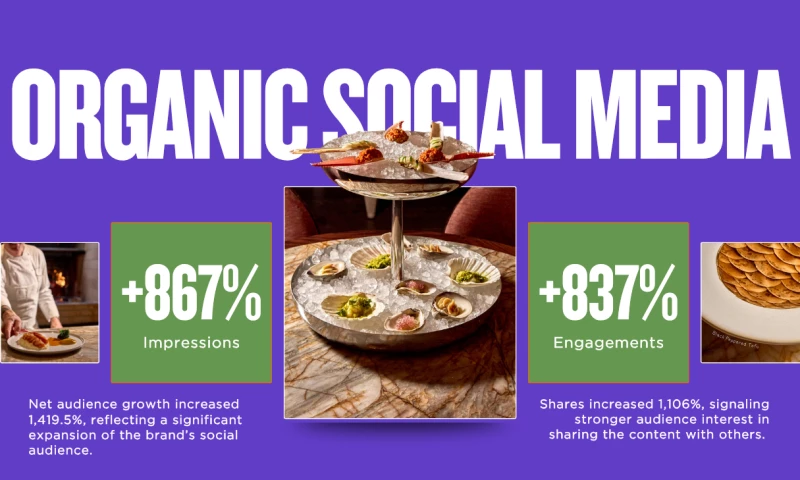 Nexaris Creative - Organic Social Media