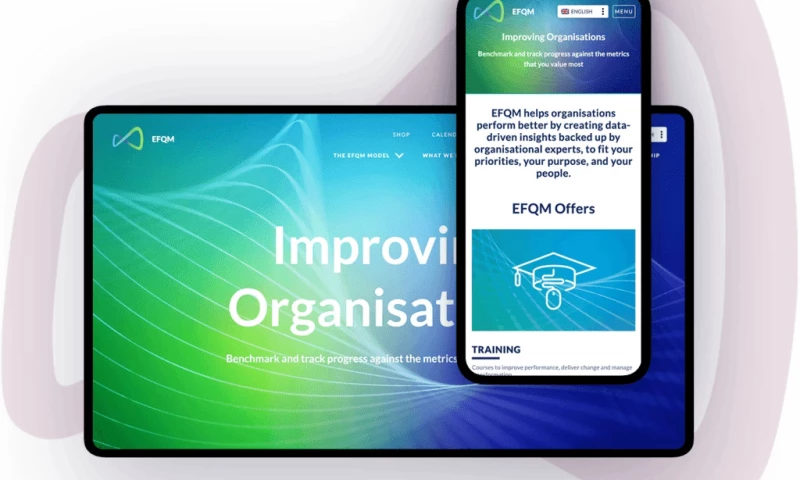 Agile Digital Agency - Five-Language WordPress Migration Including Arabic Right-to-Left