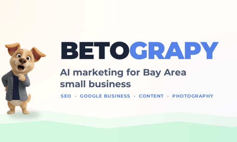 Betograpy - Black Gem Limo