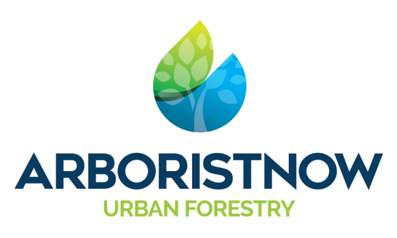 Social Status Inc. - Long-Term Digital Growth & Search Strategy for Bay Area Tree Care Company