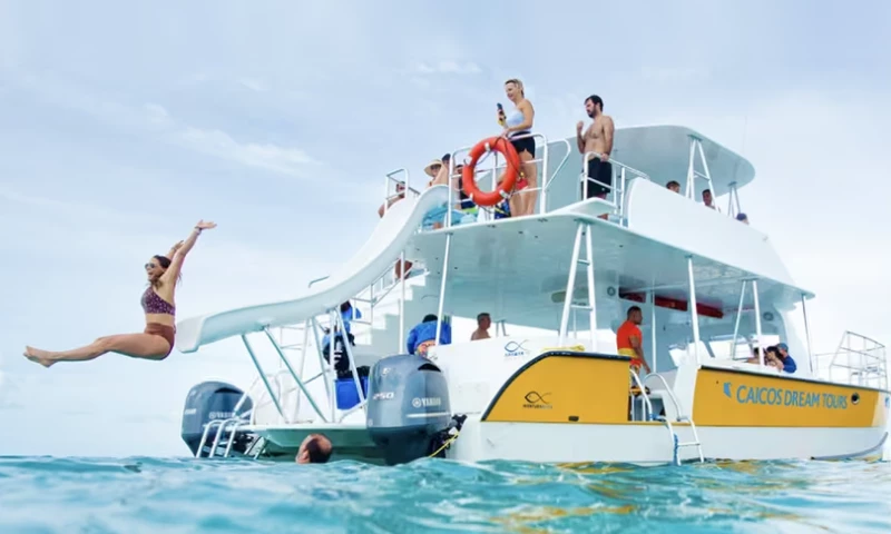 Propellic - Profitable Google Ads Scaling for a Boat Charter Business