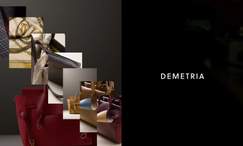 Backdoor Studio - Digital Platform, Photography & Video Production | Demetria Case Study