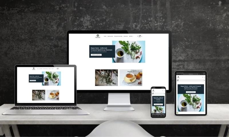 Shell-iT - Bilingual WooCommerce e-shop for a Greek producer