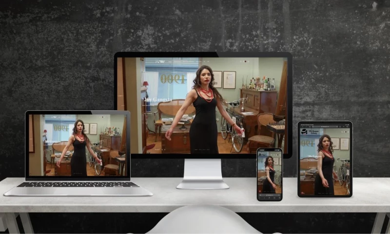 Shell-iT - Gatsby-inspired fashion e-shop and brand identity
