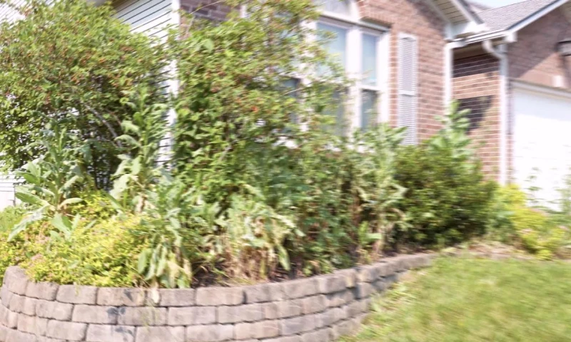 Overcome Media - Lawn Care Growth: 3 Seasons of Meta, Google Ads and Web
