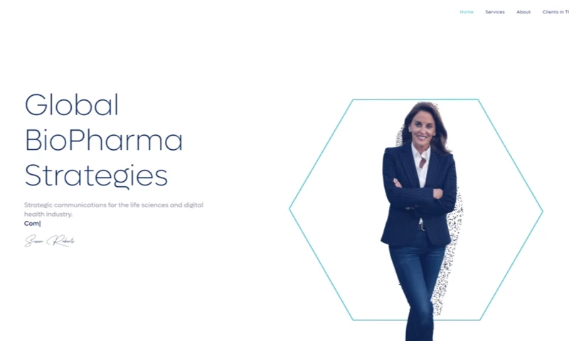 ZERO NEGATIVE - Roberts Communications Brand and Website Redesign