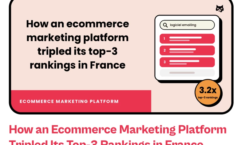 Flying Cat - Ecommerce Marketing Platform Tripled Its Top-3 Rankings in France