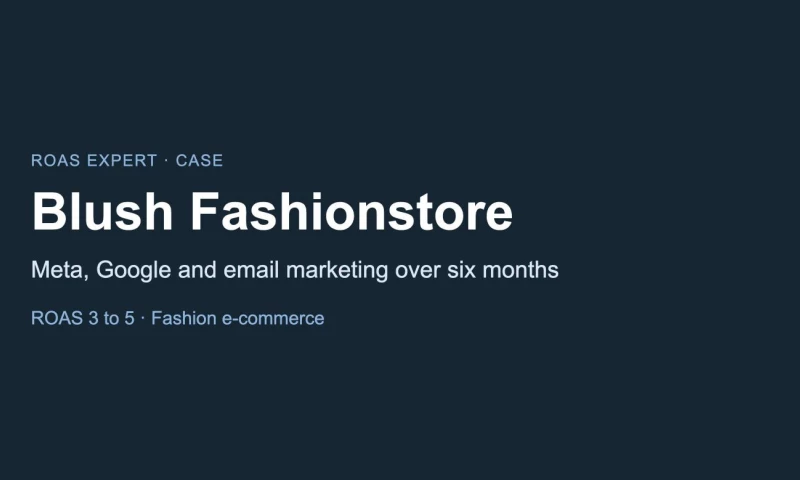 ROAS Expert - Blush Fashionstore: ROAS from 3 to 5