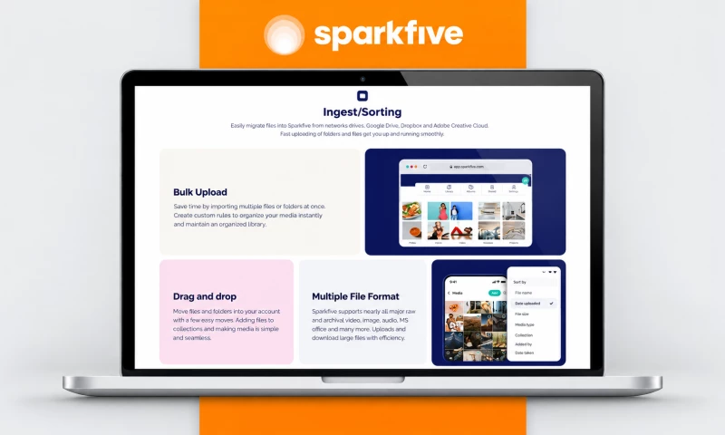 VT Digital - SparkFive Digital Asset Management Software Development