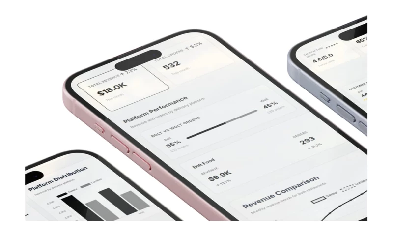 Bronic Labs - Restaurant analytics for Wolt and Bolt