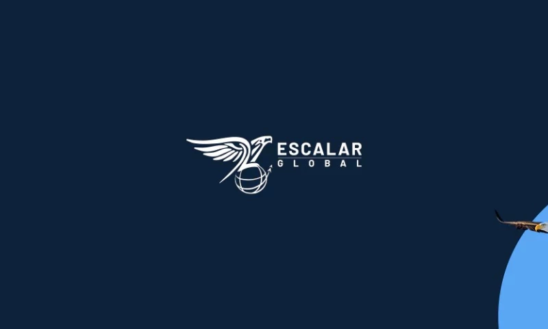 Marketing Bee - Website Design & Development for Escalar Global