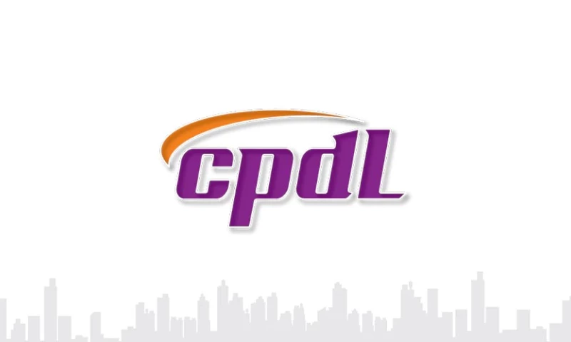 Marketing Bee - Brand Positioning & Identity for CPDL