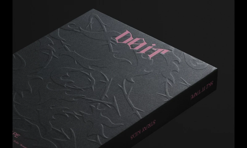 Ordinary People - Straykids - Do It Album