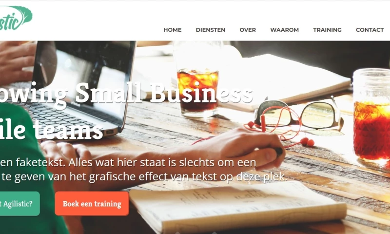 Agilistic Website Development