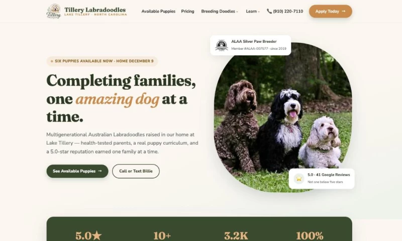 Mooresville Marketing - Website Rebuild for a Lake Tillery Labradoodle Breeder
