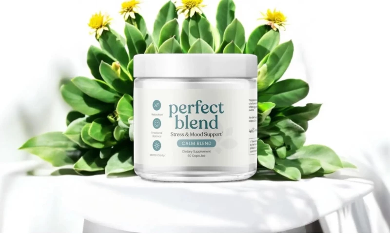 BEMAIN STUDIO - Perfect Blend Nutrition Branding & Packaging Design