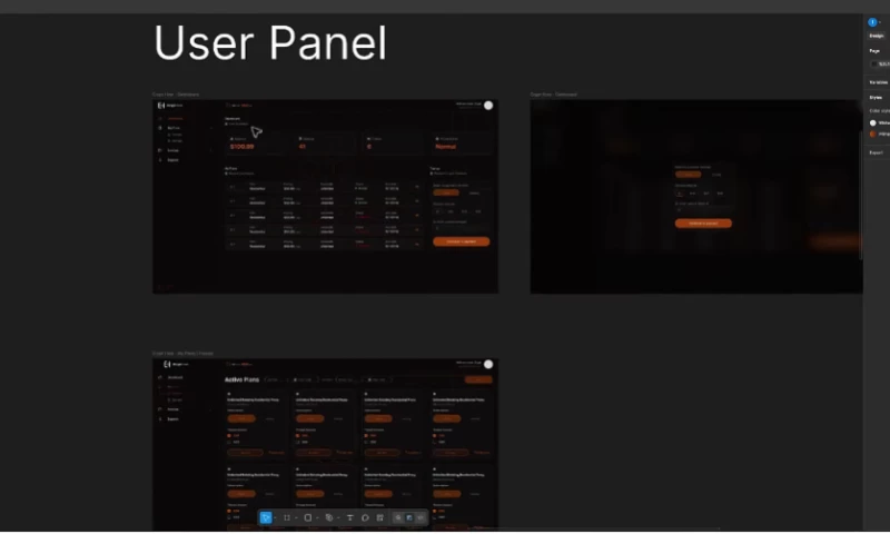 Paxerr - Crypthost - Hosting Website & Customer Experience