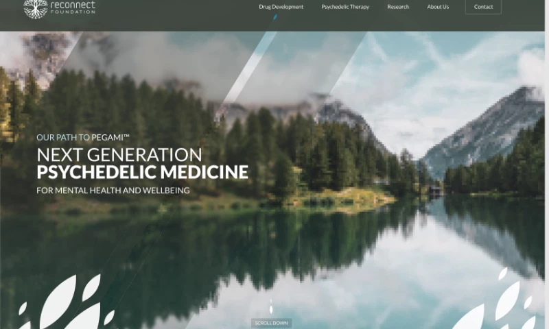 LimeChain - Reconnect Health