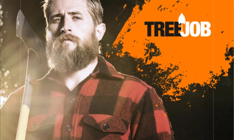 Egorov Agency - TreeJob | Corporate